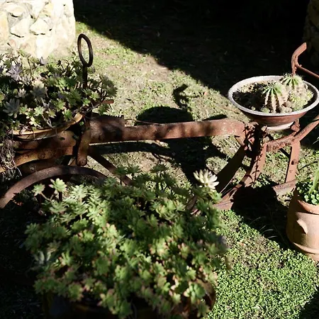 Gallorosso Casa de hóspedes Settignano