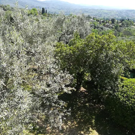 Guest house Gallorosso *