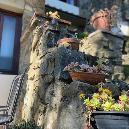 Gallorosso Casa de hóspedes