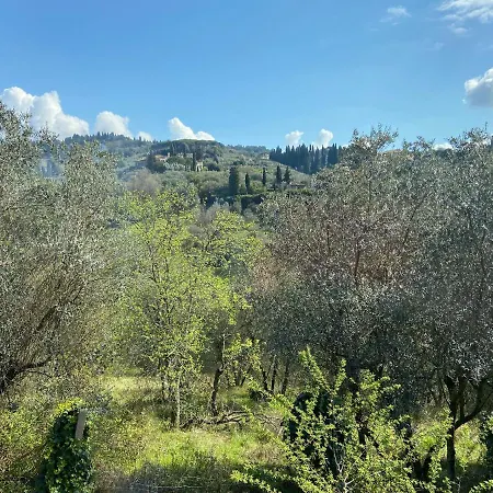Gallorosso Settignano